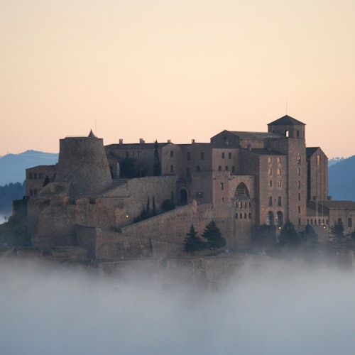 A large, historic stone castle with towers and arches stands atop a hill, emerging through thick fog with mountains in the background at dawn.