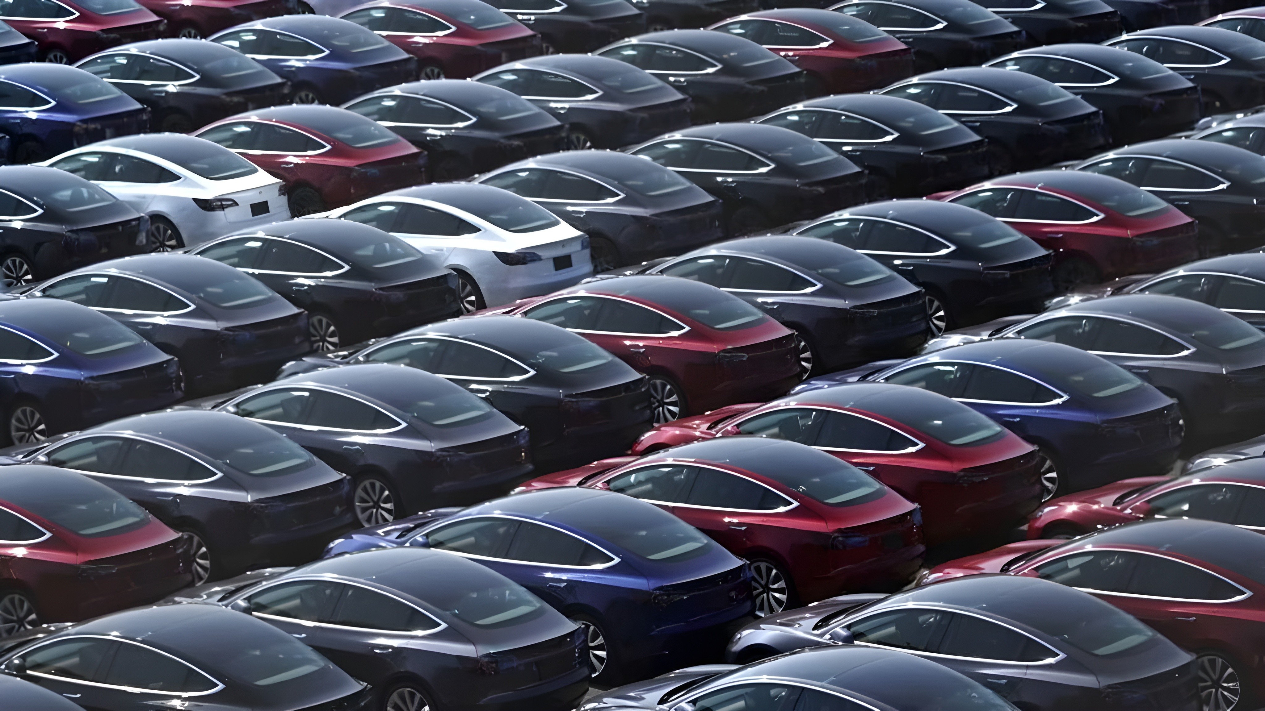 Grand stock de Tesla Model 3 sur parking, rangées de berlines électriques rouges, bleues, blanches et noires