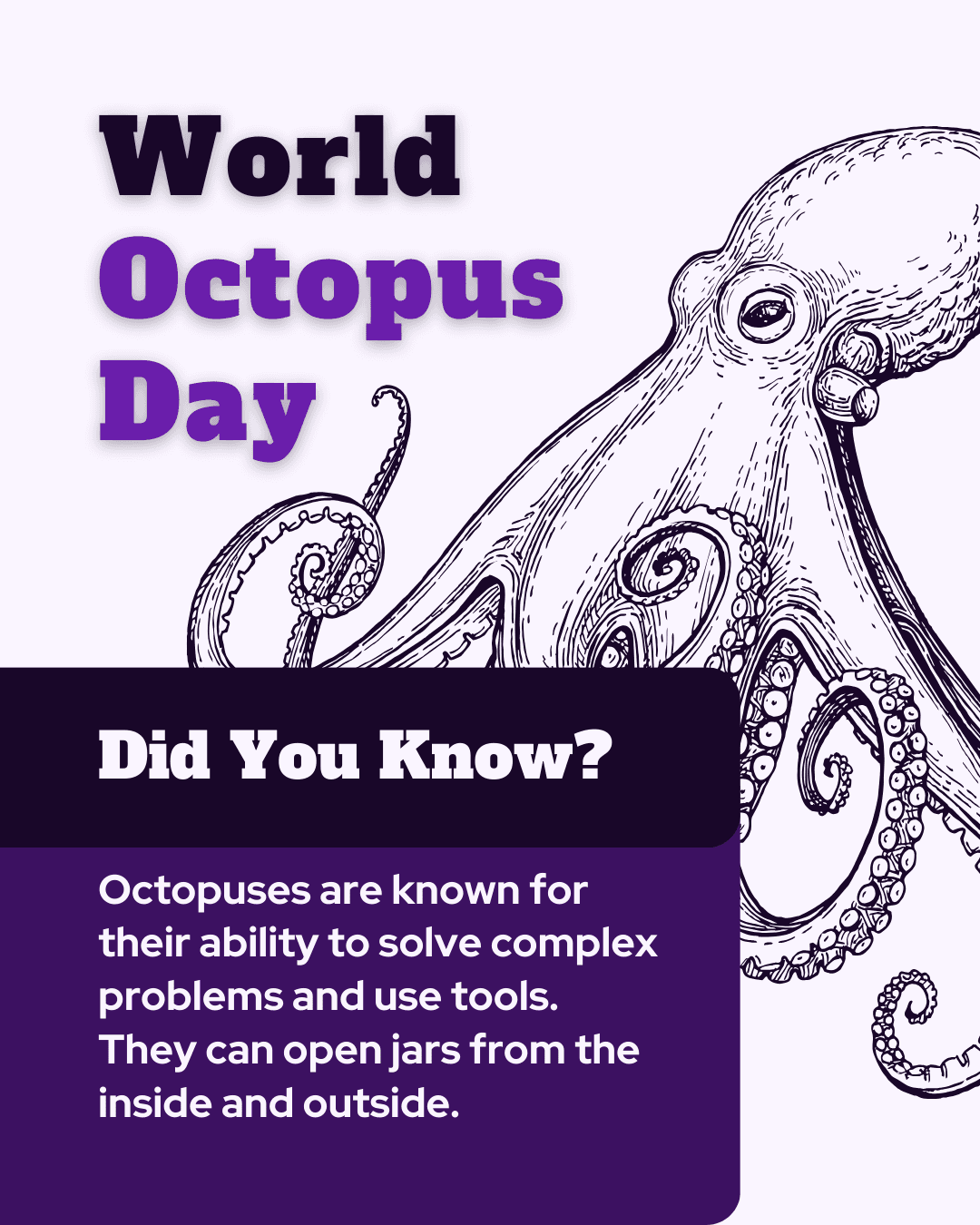 World Octopus Day