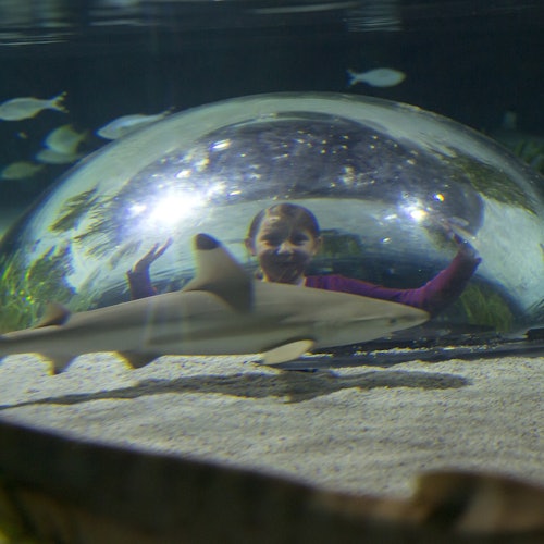 SEA LIFE Oberhausen: Eintrittskarten in Oberhausen