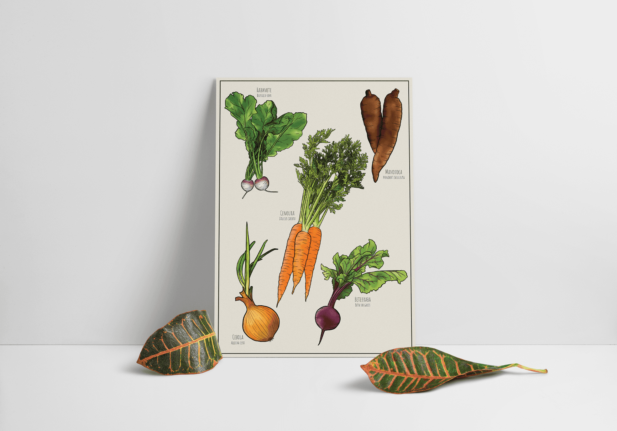 The image featured at the top of the about us page #2