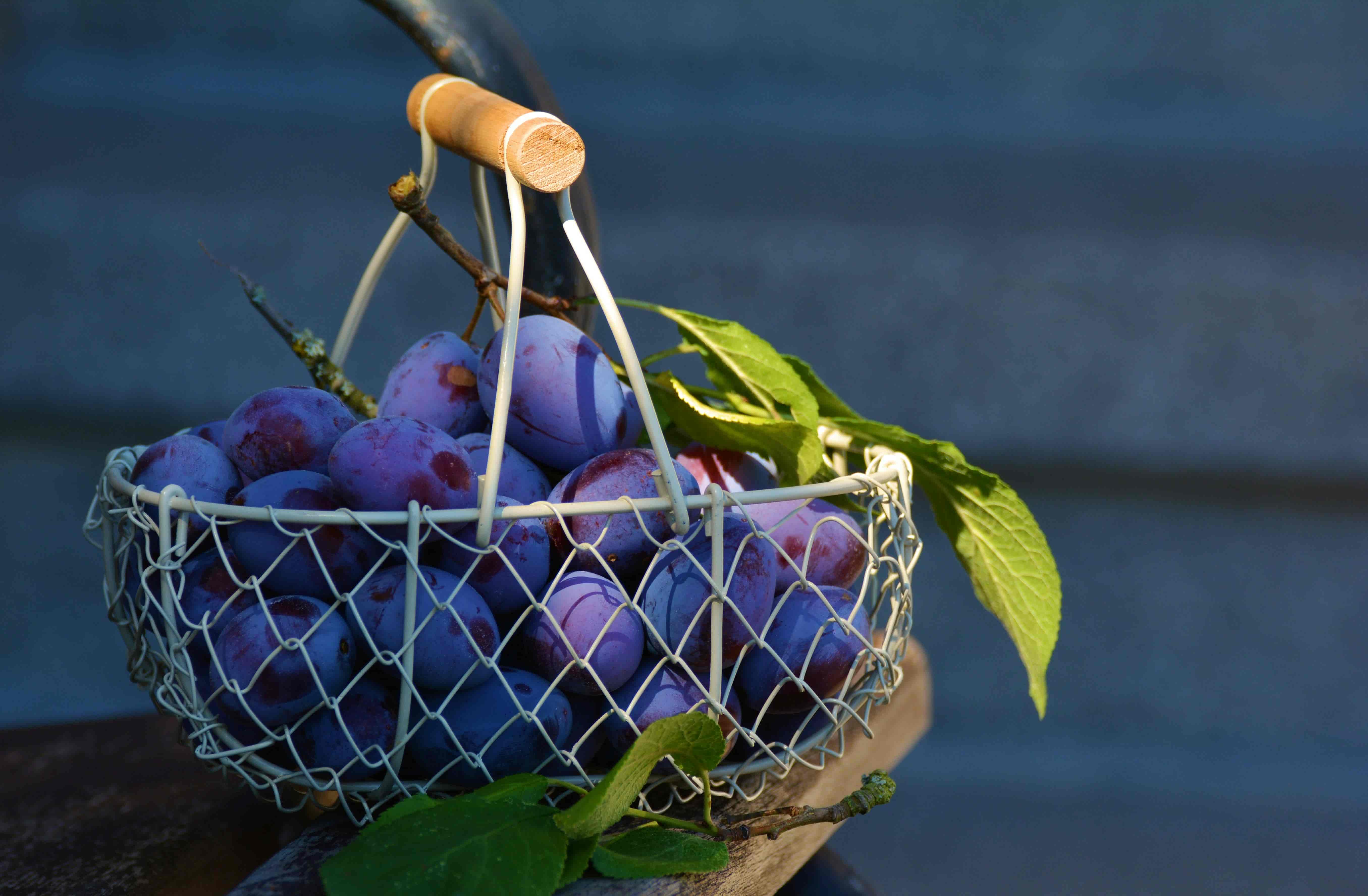 Grapes placed in a metal basket with a wooden handle.