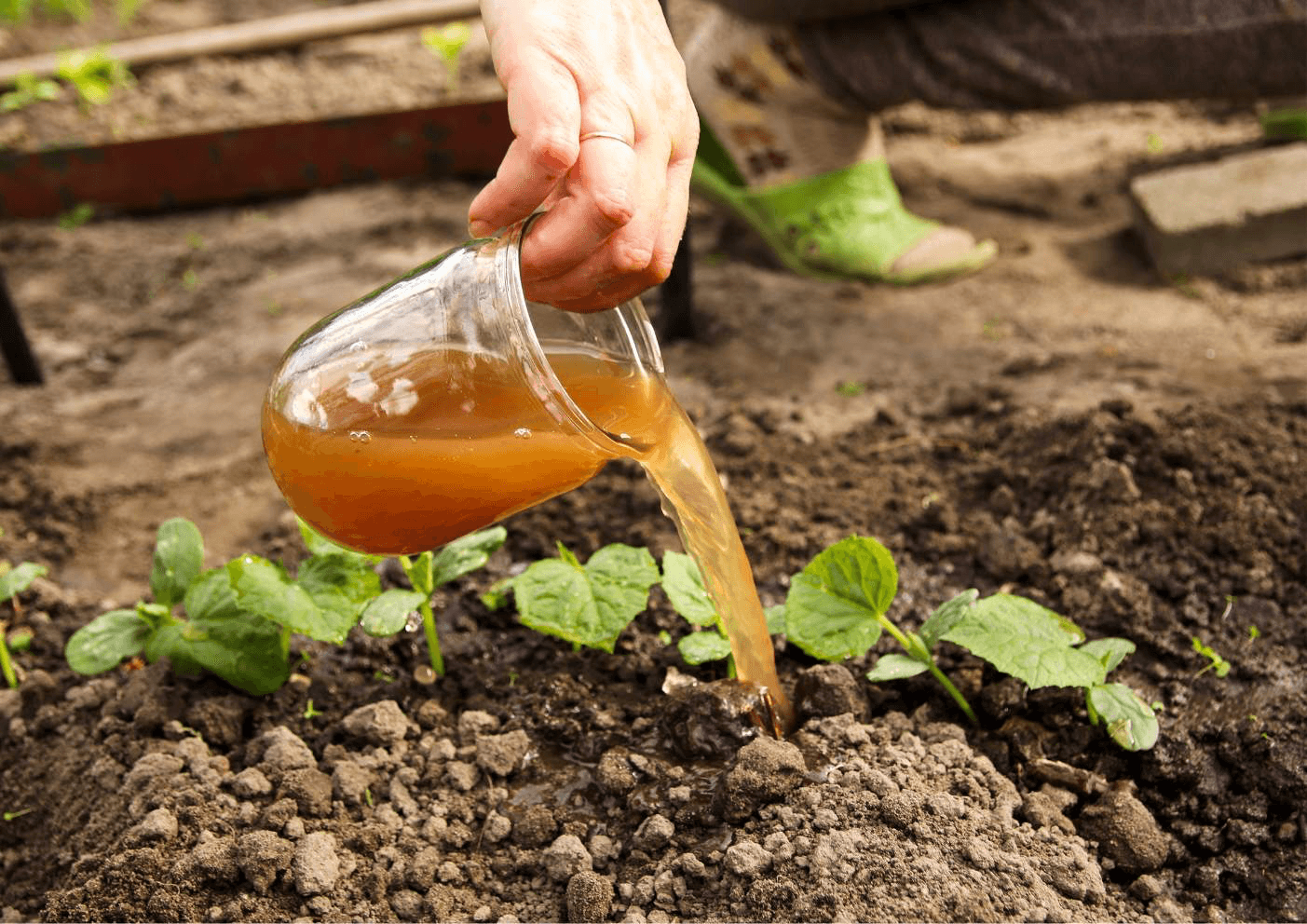 Efficient garden irrigation system for summer