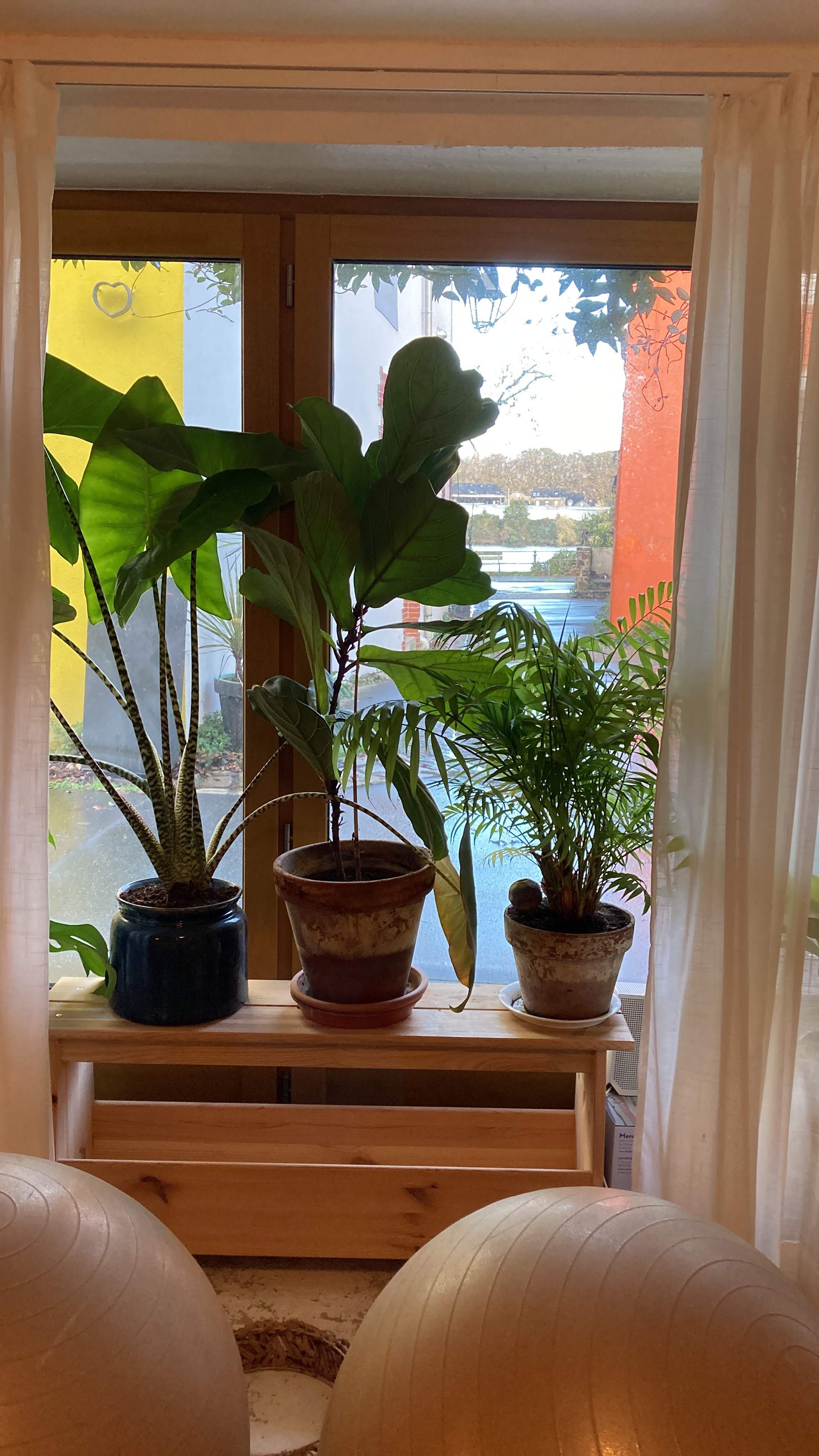 studio vanina trentemoult