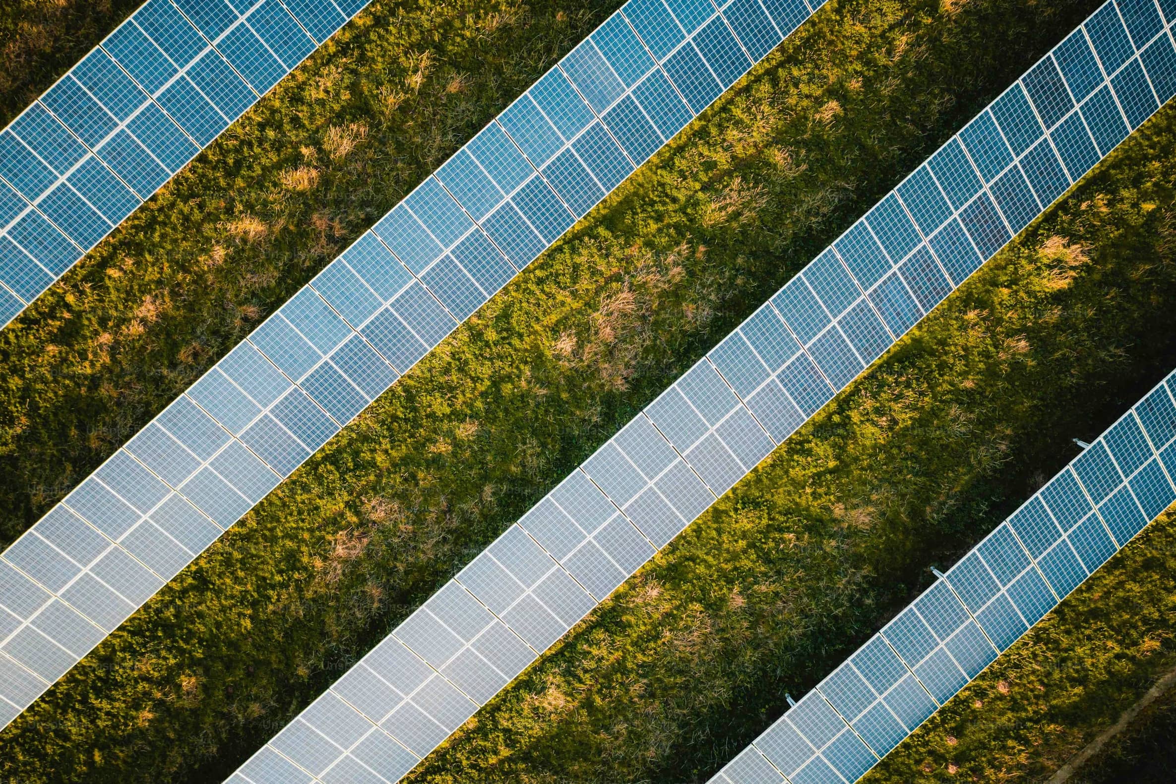 Aerial view of a large solar panel installation with rows of blue solar panels interspersed with green and golden grass.
