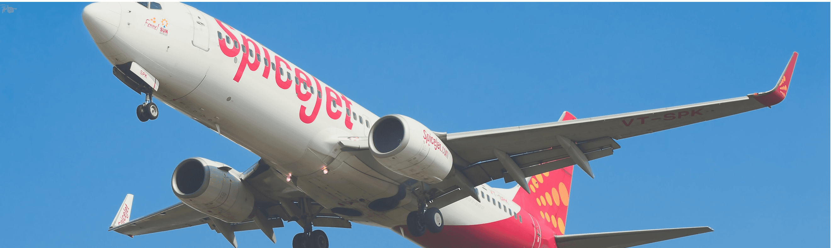 Man Wearing Sunglasses