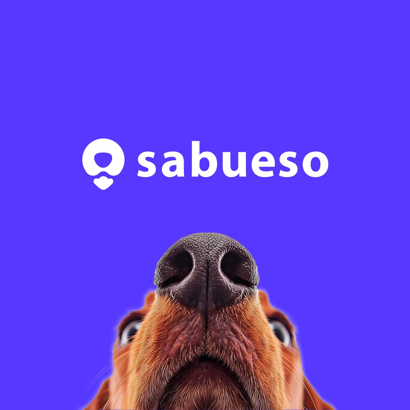 Project showcase laptop mockup