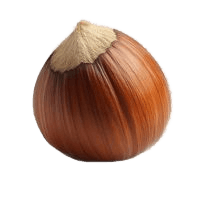 καρπός φουντούκι