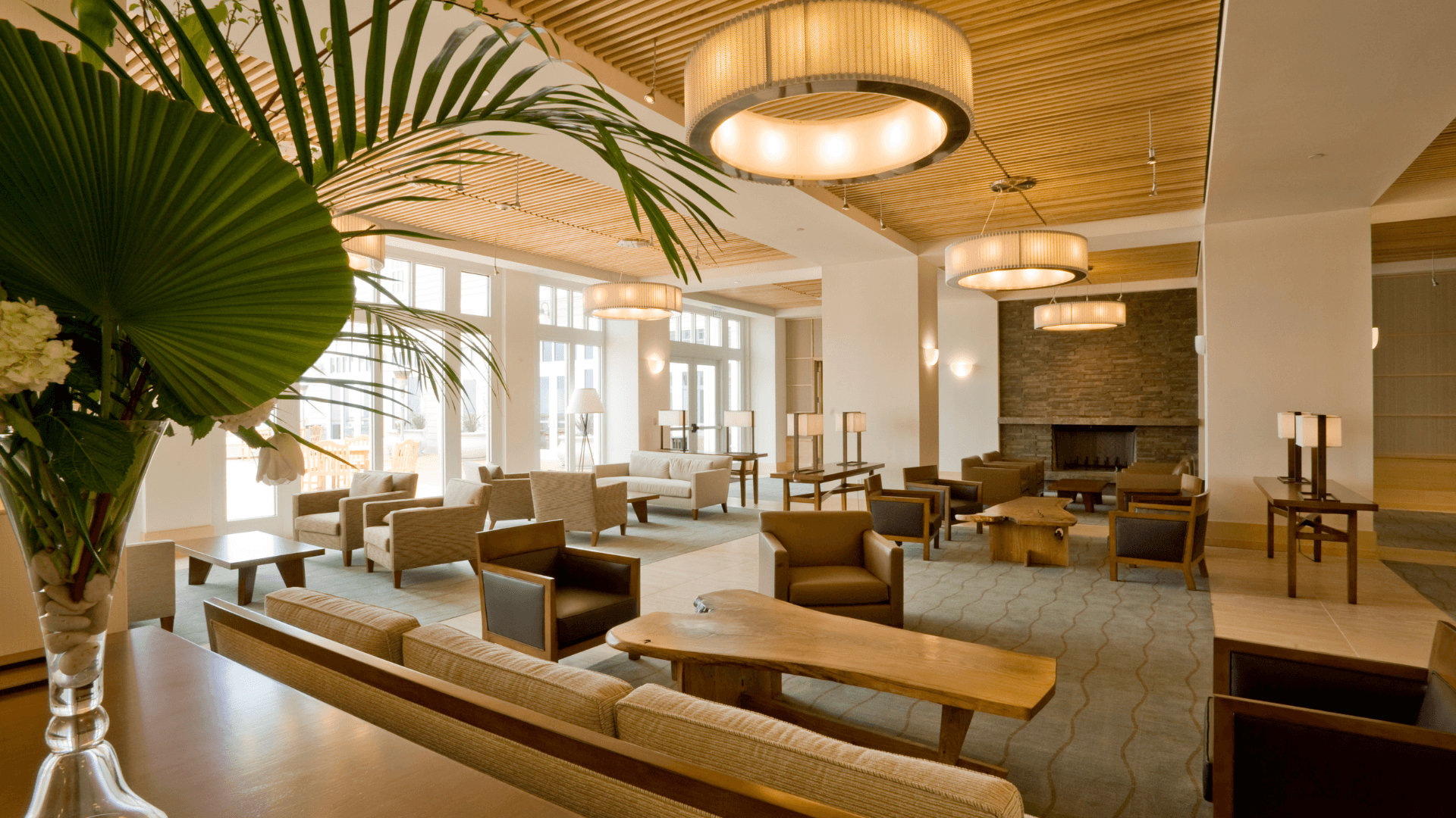 Modern hotel lobby with natural light, indoor plants, and contemporary furniture design | Lunasole Hospitality