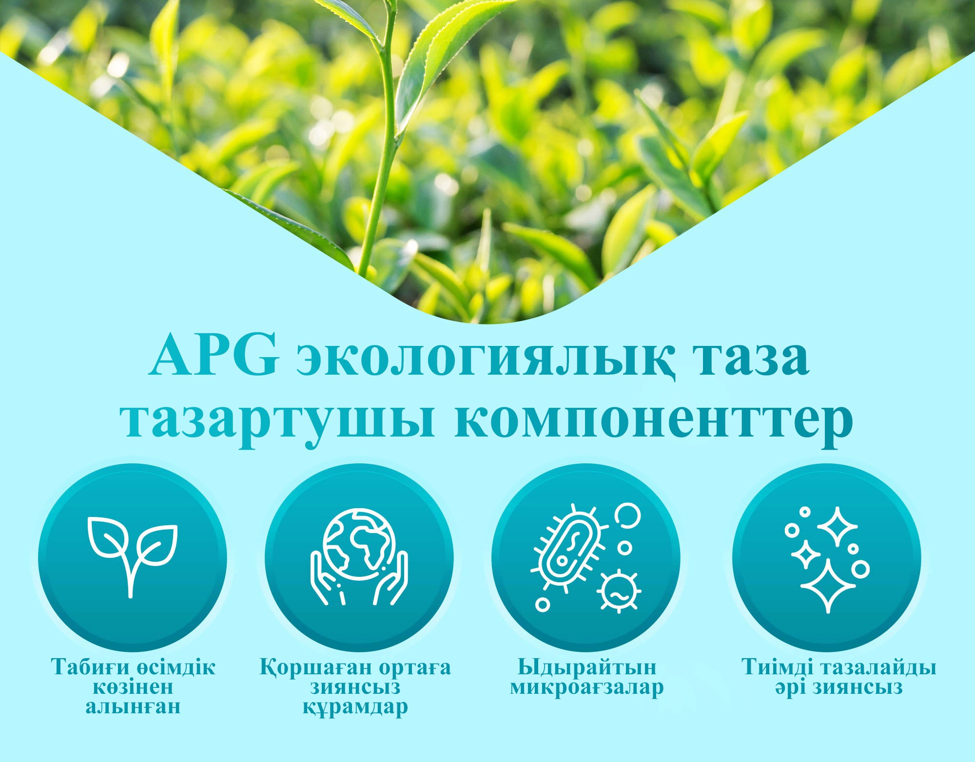 歐盟標準天然綠色潔淨成分APG