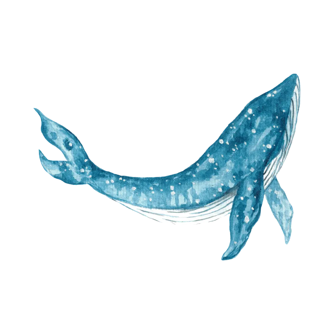 whale painting icon