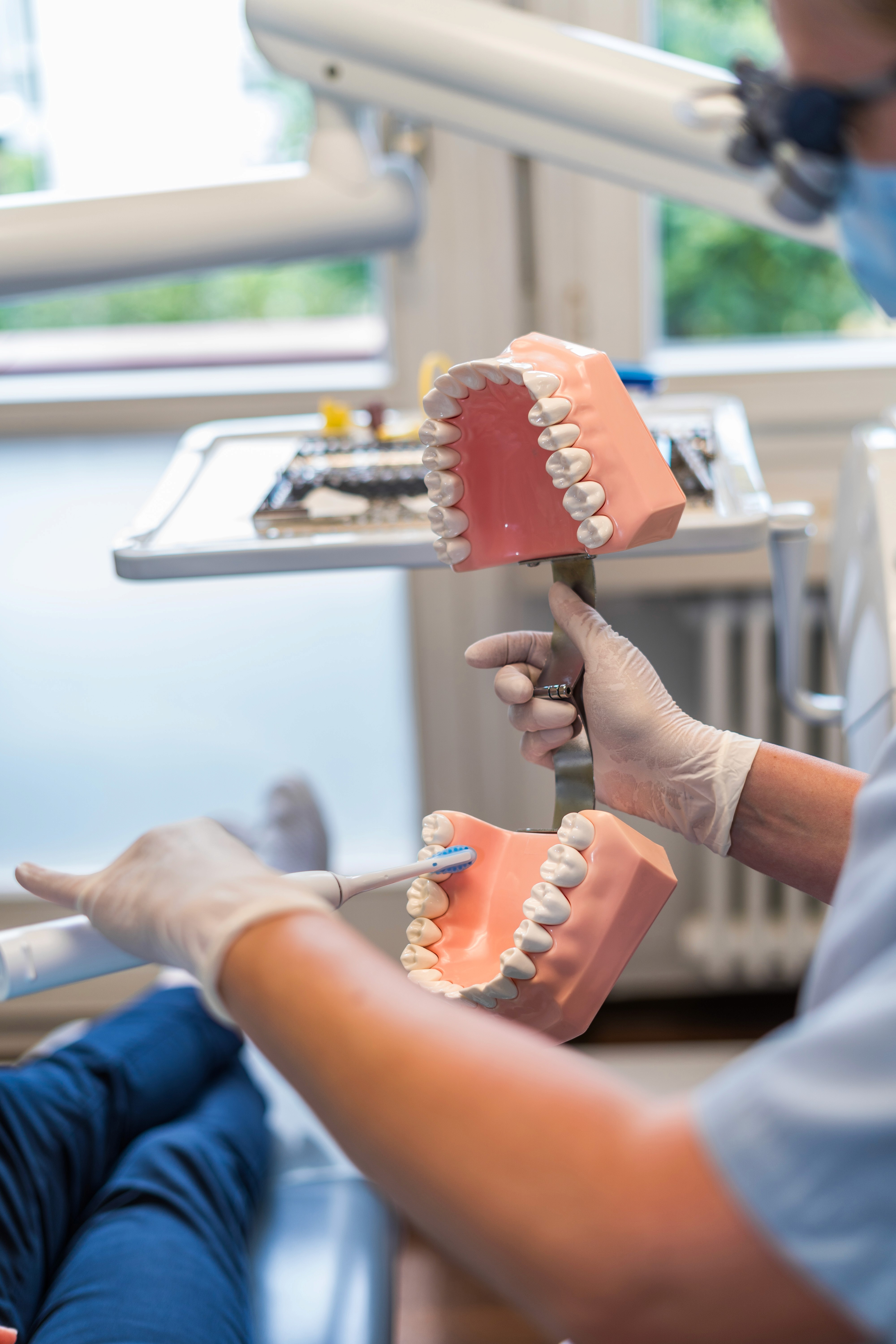 Demonstration der Zahnpflege an Gebissmodell mit elektrischer Zahnbürste.