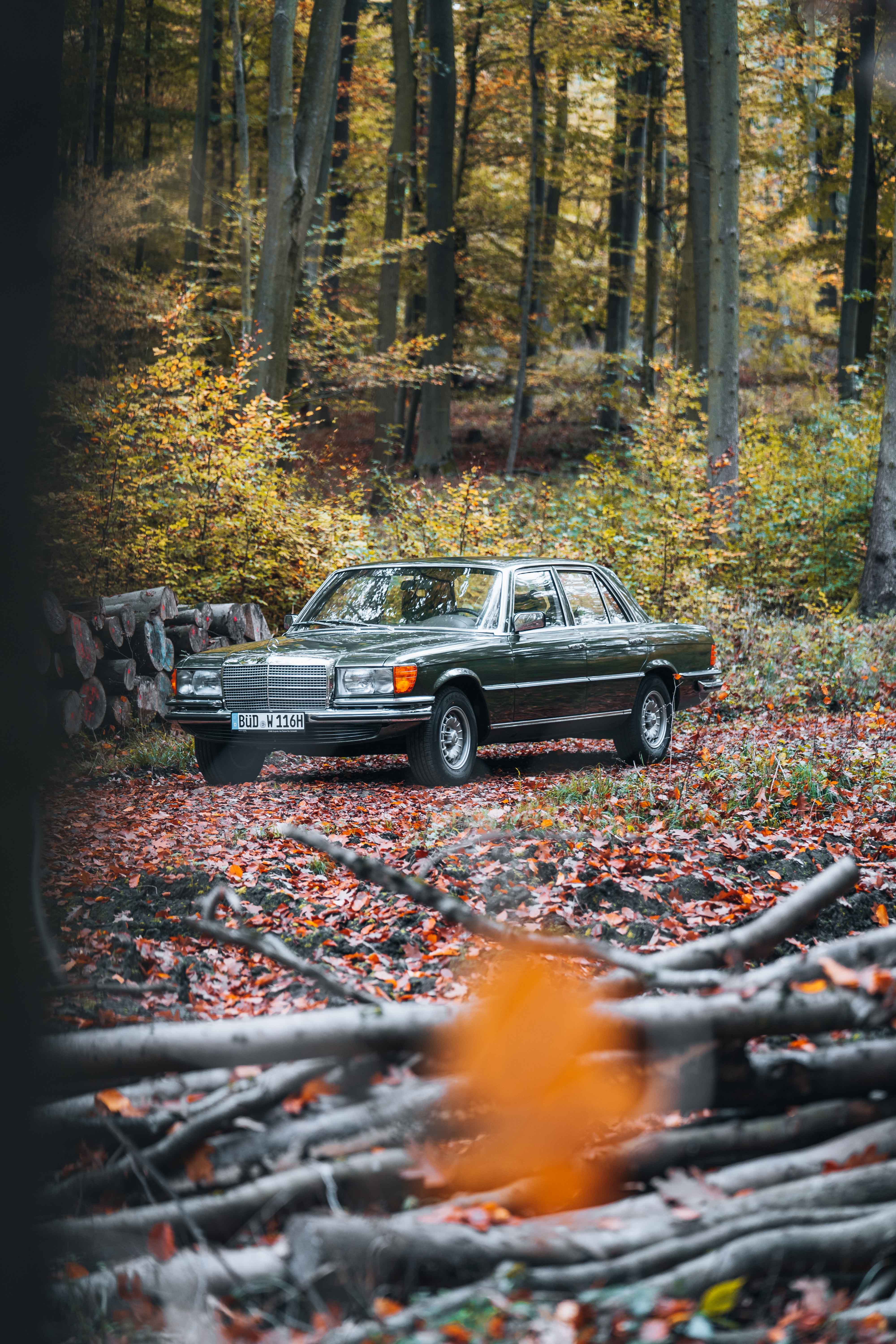 Rock formations and open trails in desert landscape.