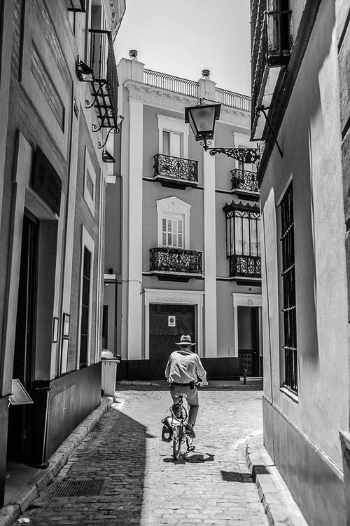 Cyclist in historic Seville streets - Guadalquivir River and Sierra de Aracena