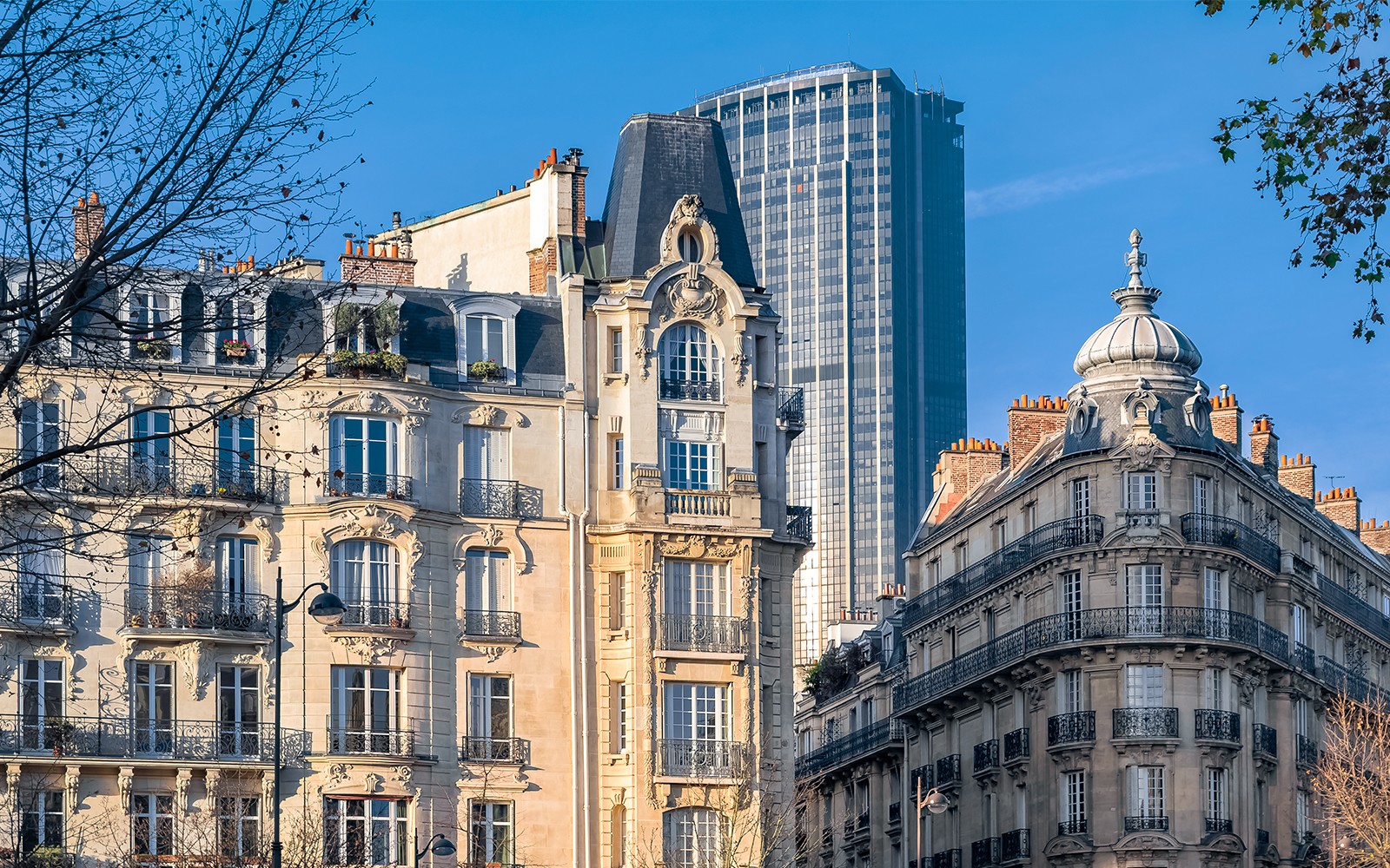 Historic Parisian buildings with Montparnasse Tower in the background.