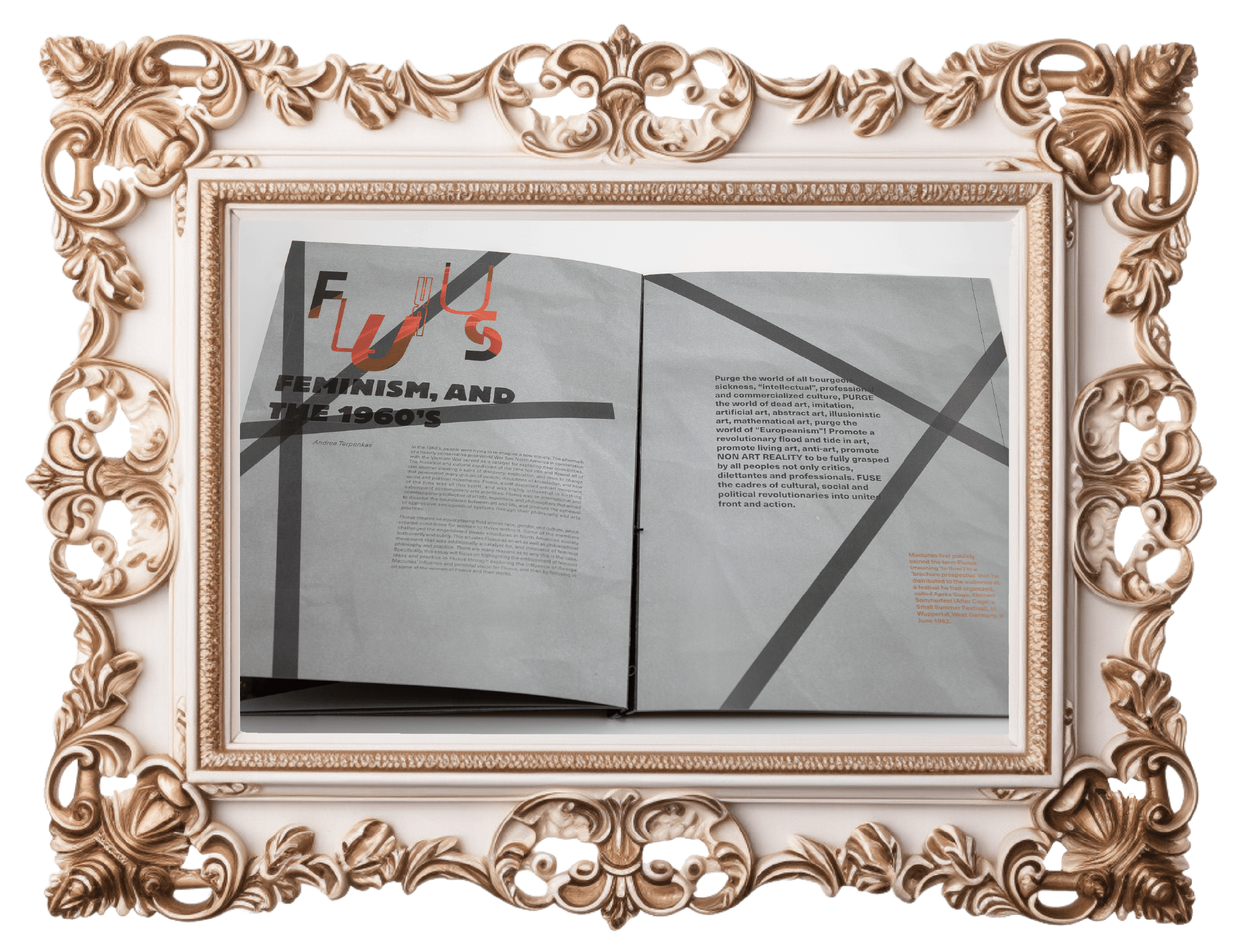 Focus zine