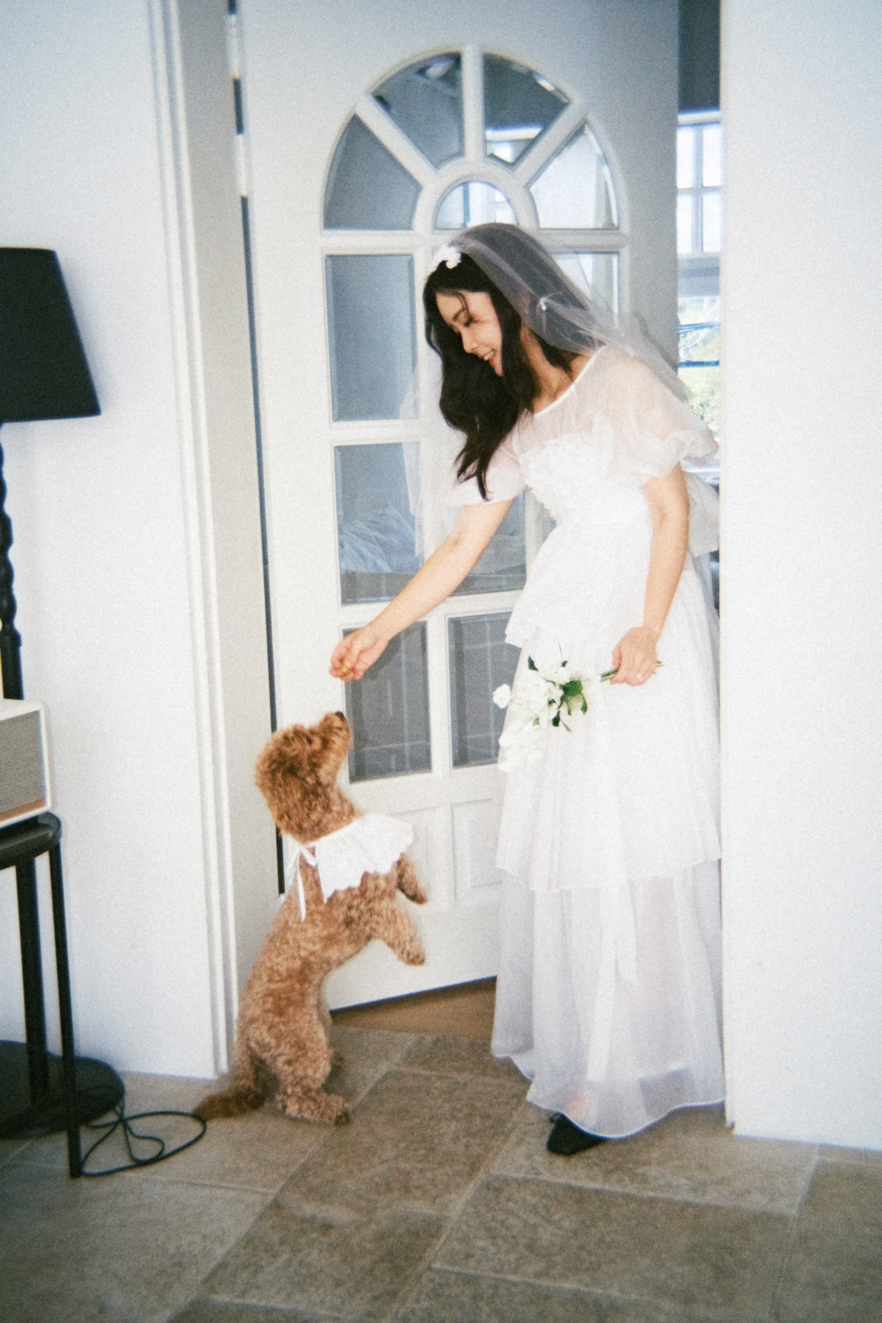 서울 필름 웨딩스냅 촬영 후기 | 살랑필름이 기록한 빈티지 감성 반려견 동반 촬영