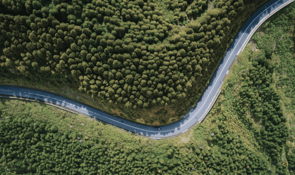 Dynamic picture of a cyclist riding downhill