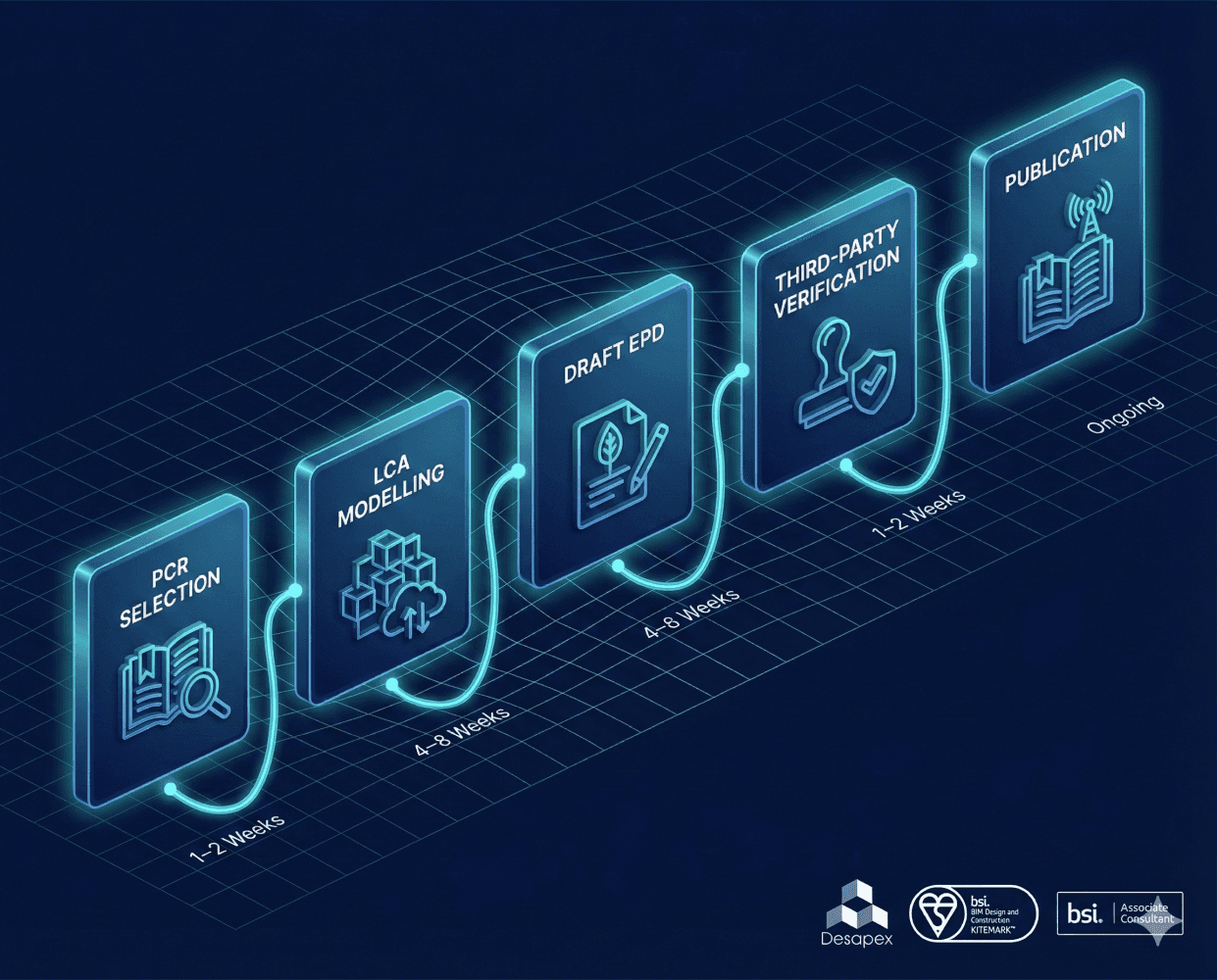 Flowchart: From PCR to publication
