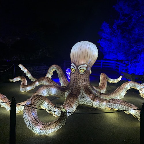 Illuminated octopus sculpture with glowing eyes and tentacles, displayed outdoors at night. Background trees lit in blue.
