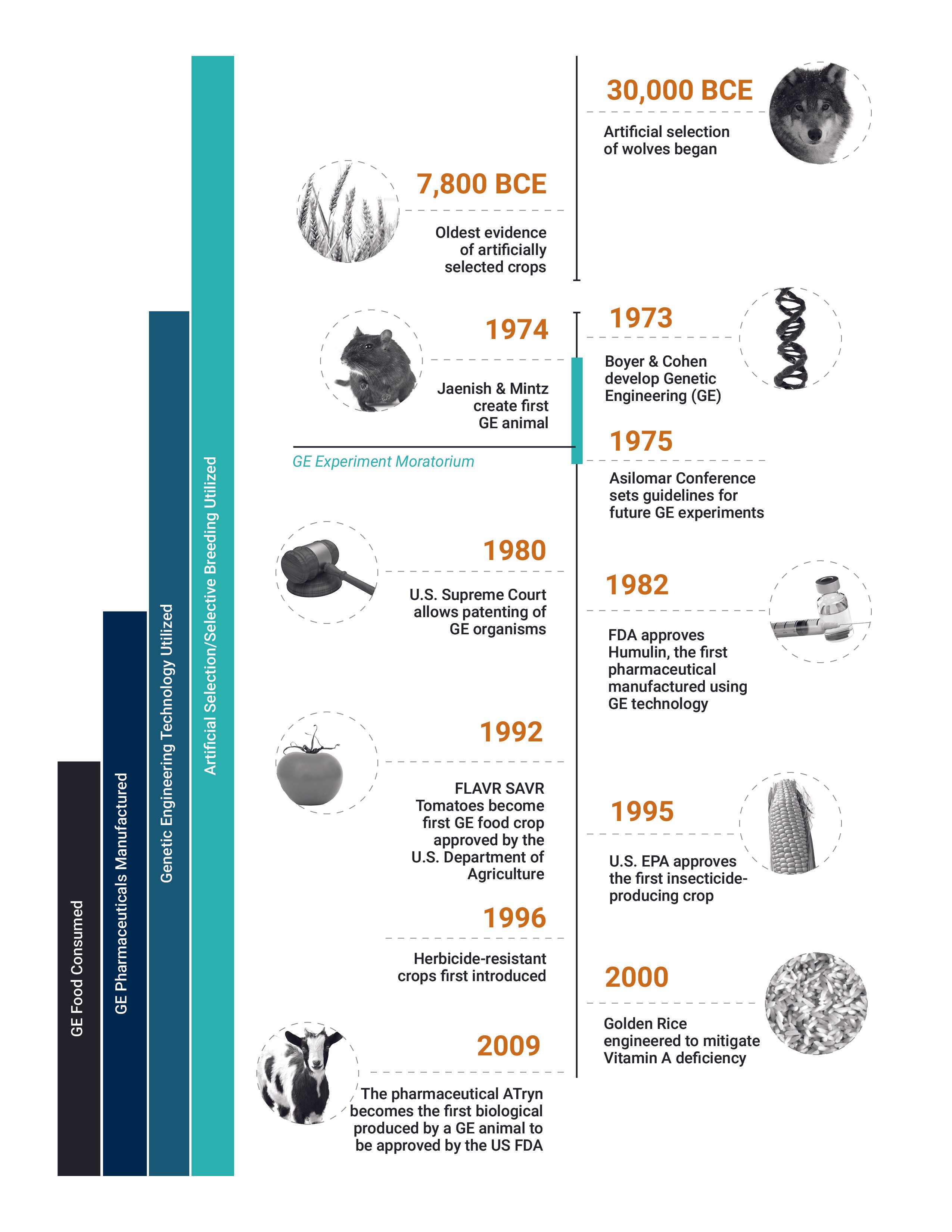  Biotechnology history