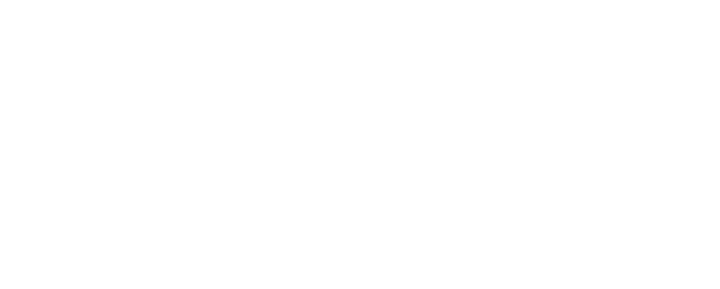 Logo FranchiFly