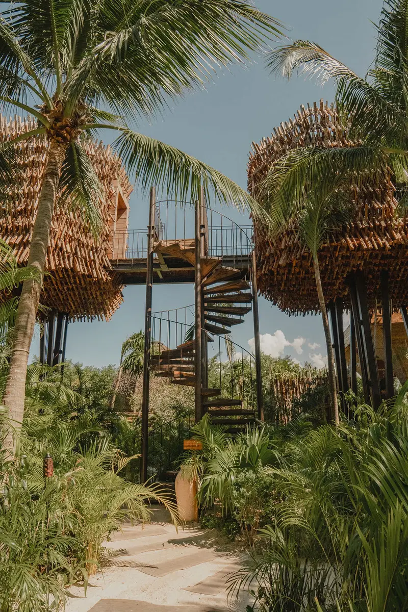 Unique and luxurious treehouse suite at Nomade Holbox in Holbox Mexico, surrounded by lush tropical plants and ocean views