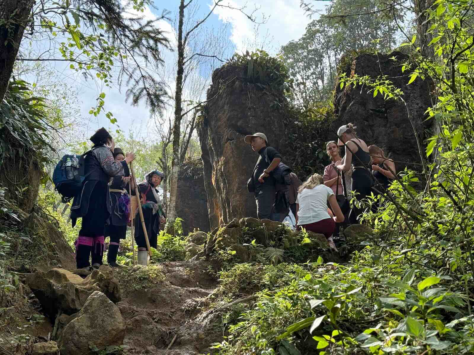 Trekking group walking with a local Black Hmong guide through a forest trail in Sapa Vietnam