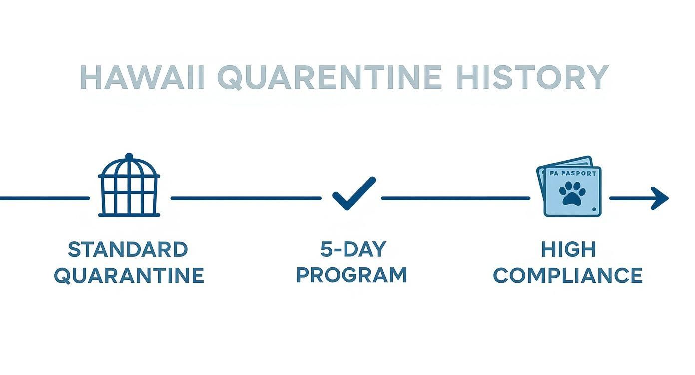 A timeline graphic illustrating Hawaii's animal quarantine history: Standard, 5-Day Program, and High Compliance.