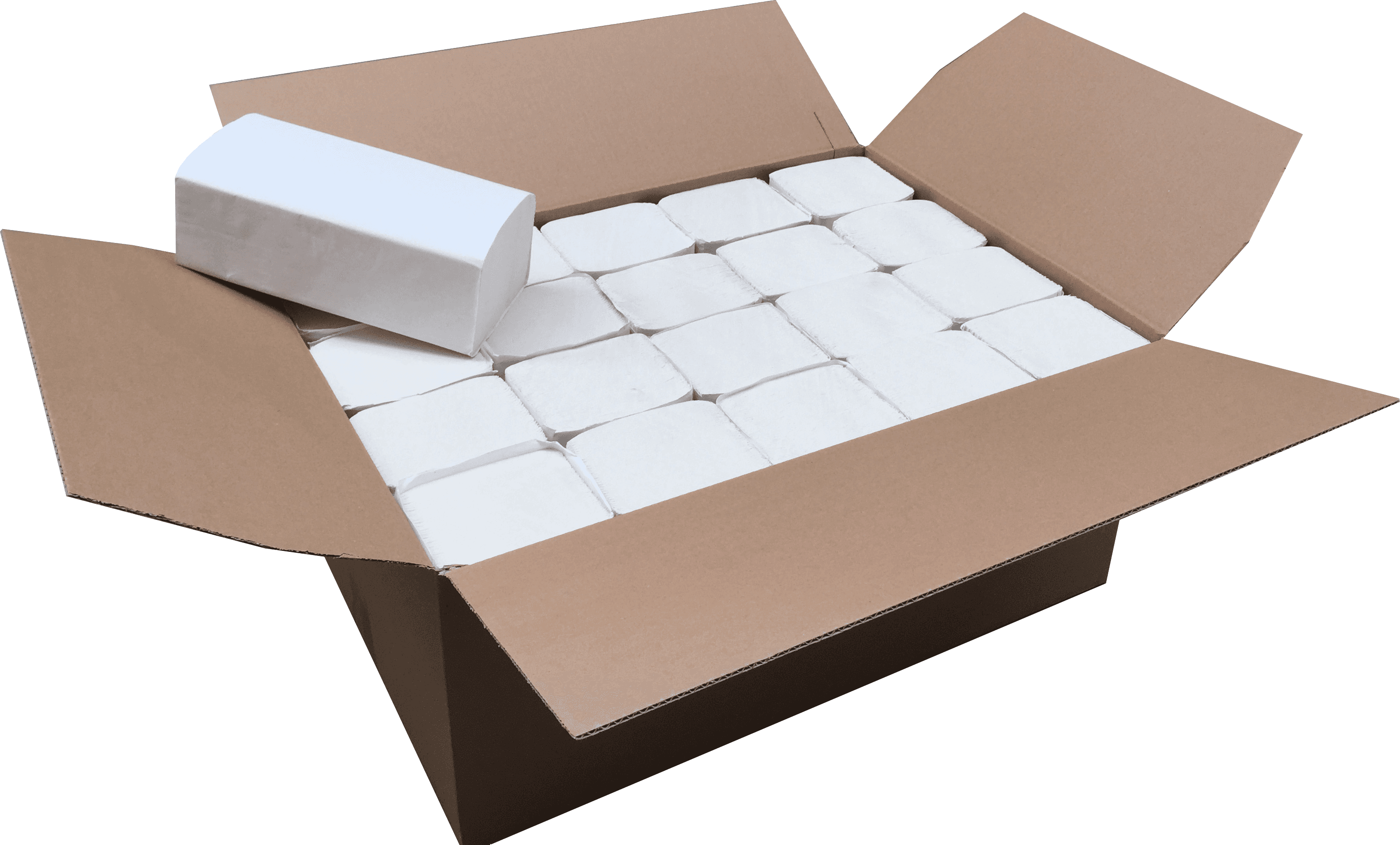 Papiertücher in Karton, Hygienepapiere, Papierhandtücher