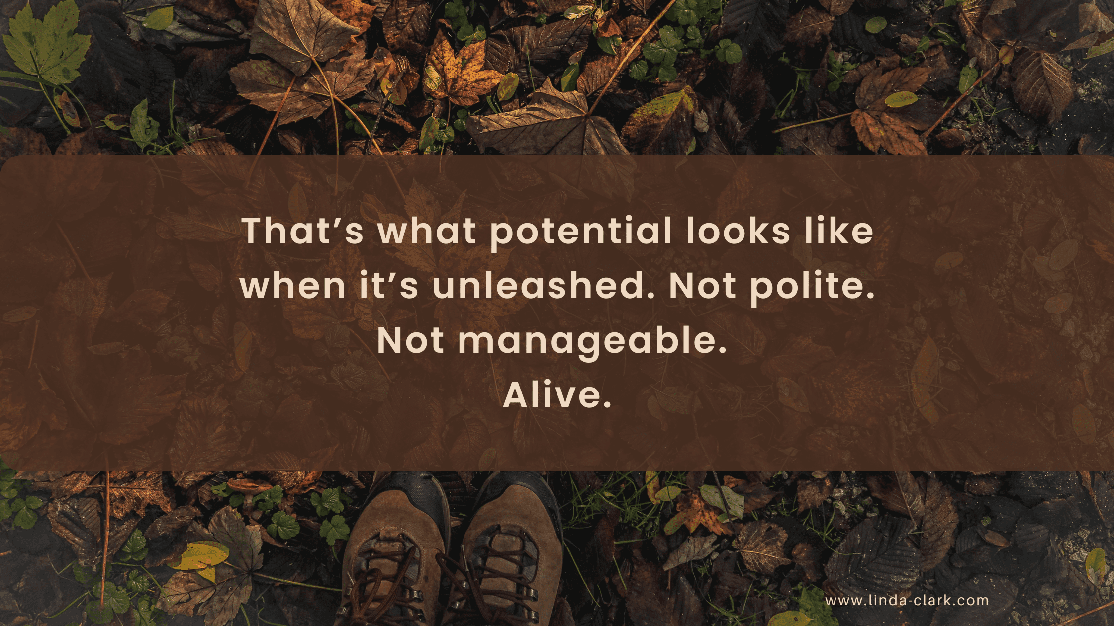 A photo of a forest floor covered in leaves and looking down at your boots in the leaves. The title of the blog post is on a brown background and says Seeds of Potential: Growth That Can’t Be Contained | Linda Clark