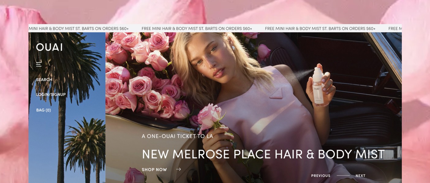 screen grab of website