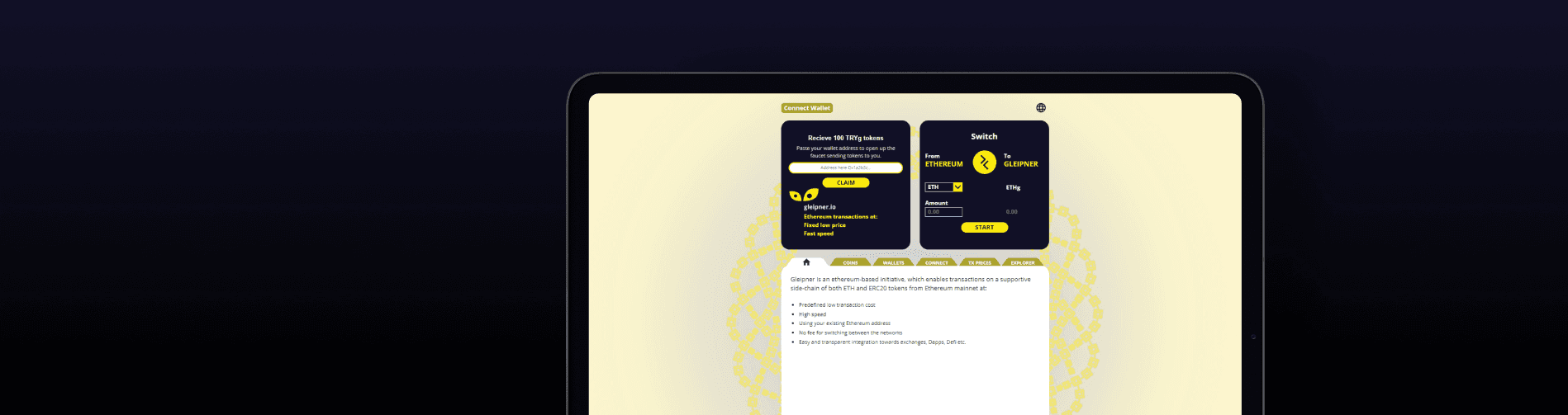 Web dashboard of GLEIPNER highlighting high-speed transaction capabilities and easy integration features