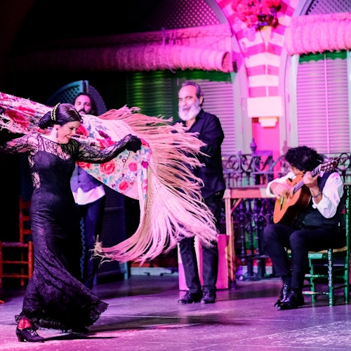 现场传统弗拉门戈