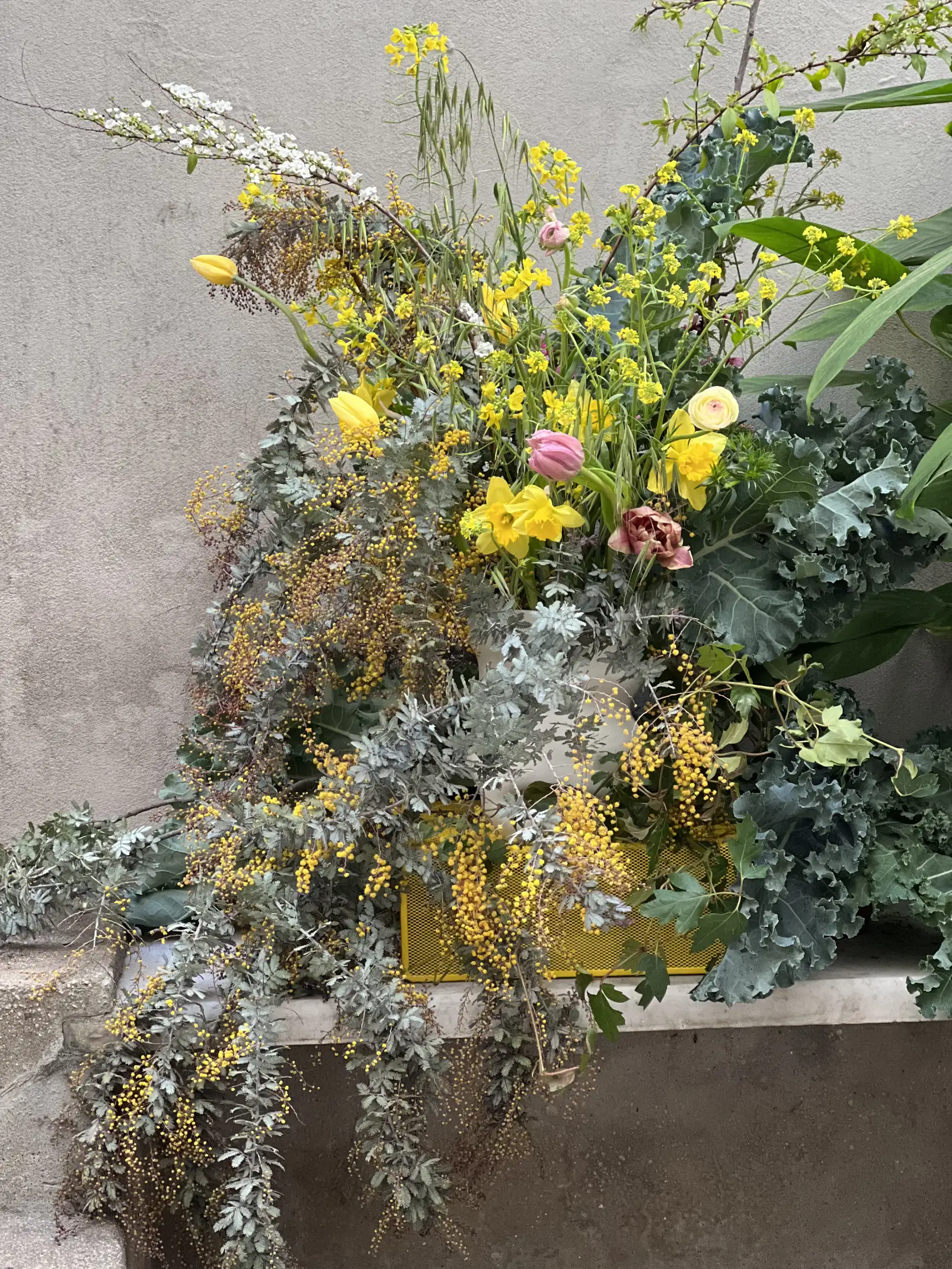 Arreglo floral exuberante con tulipanes amarillos y rosas, narcisos y ramas de mimosa colgante, acompañado de follaje verde y flores silvestres en tonos amarillos sobre un fondo de pared gris.