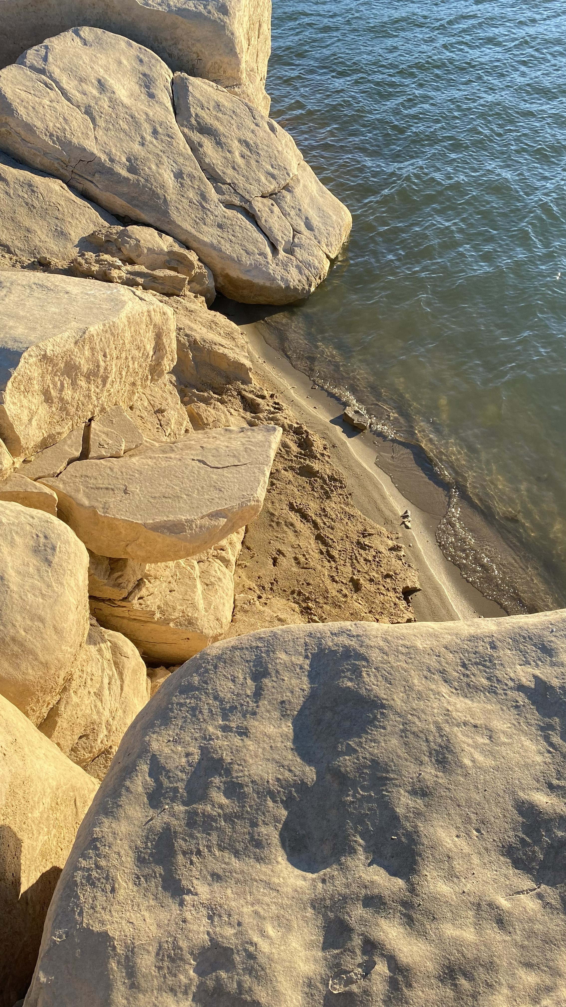 Hand carved piece of wood in a workshop