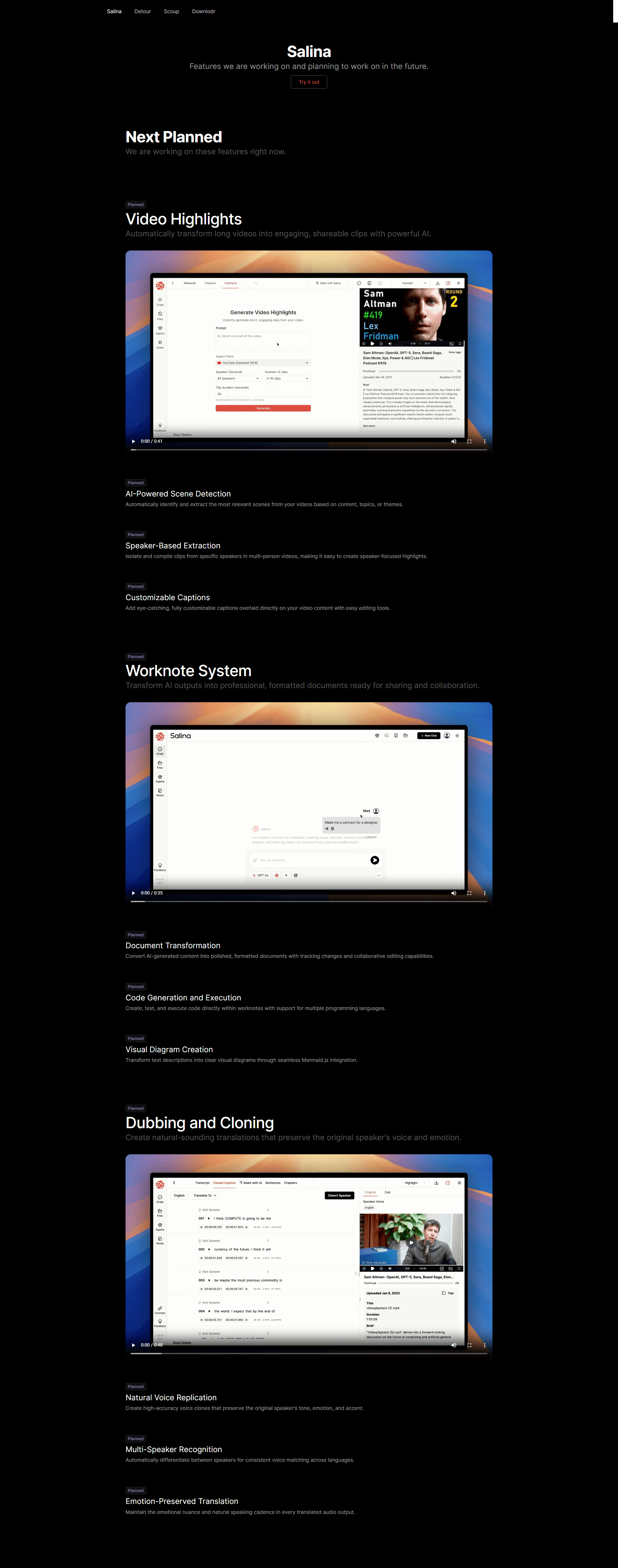 Salina roadmap page – upcoming AI transcription and translation features