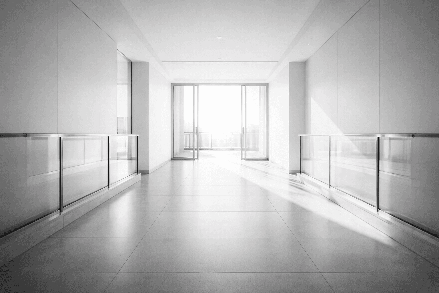 Close-up of a swan's head and neck