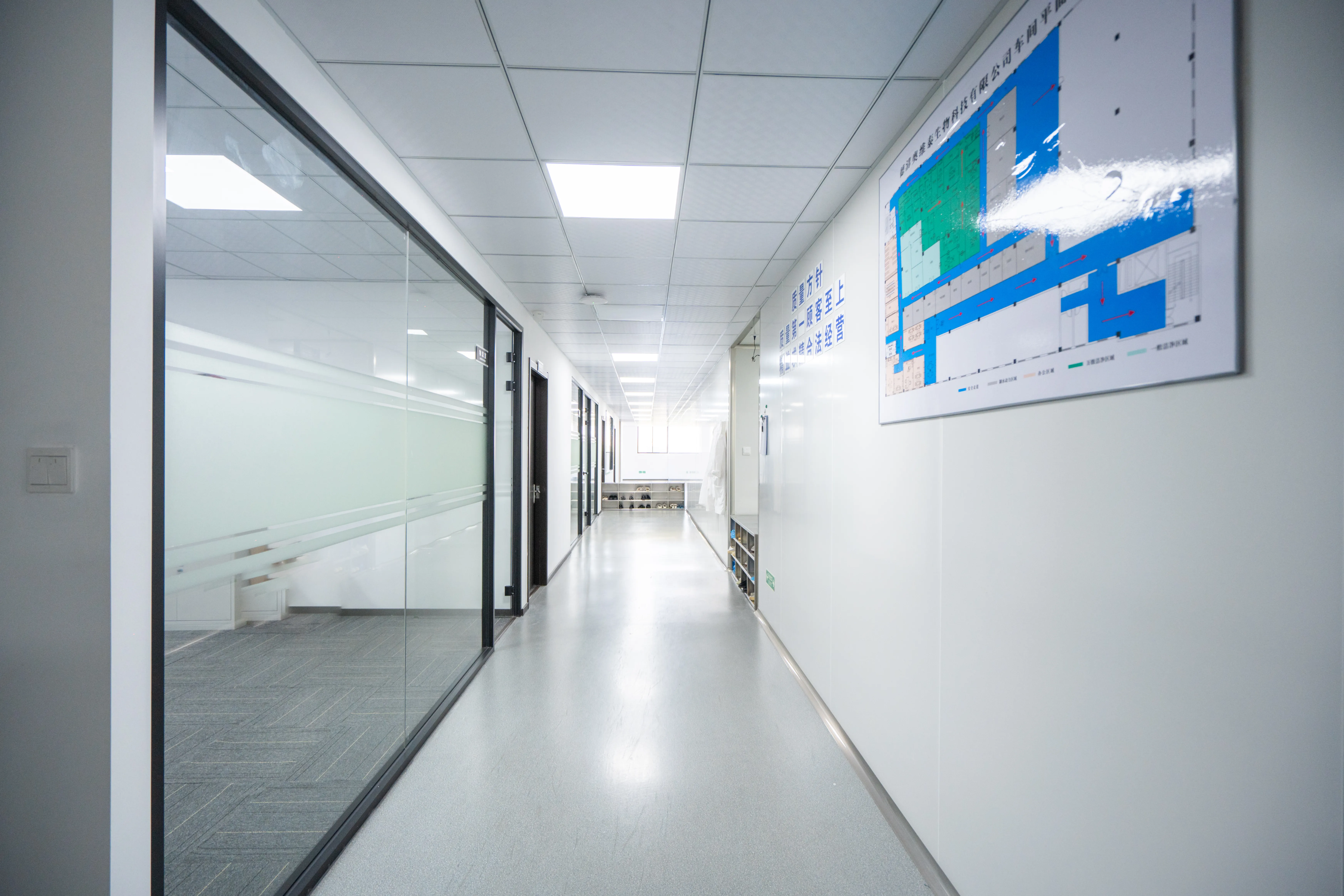 Empowering global partnerships in regenerative aesthetics