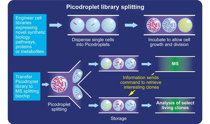 Sphere Fluidics Systems in Action for Synthetic Biology Applications