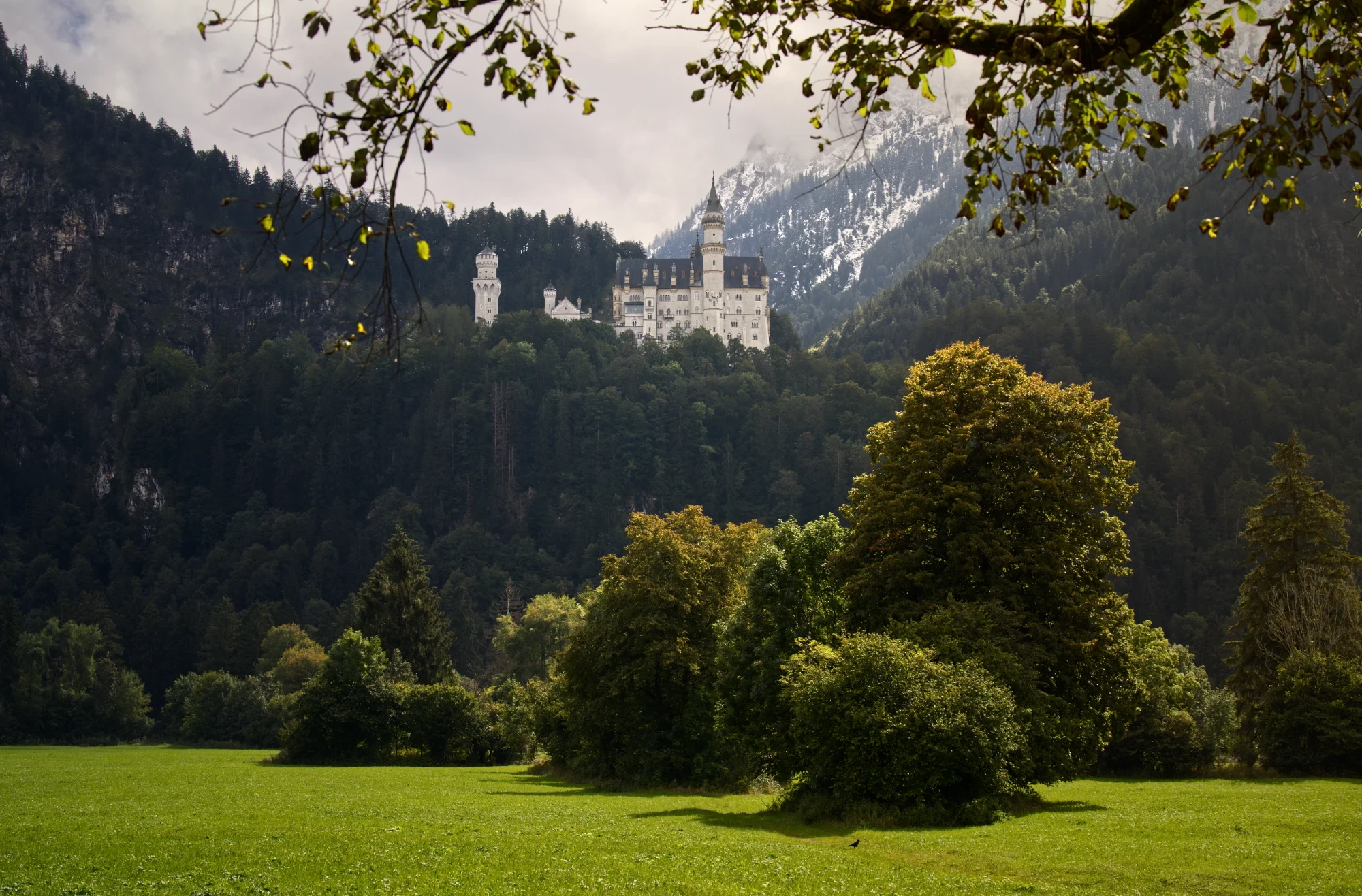 Schloss Neuschwanstein aus der Ferne zwischen Bäumen und Berglandschaft fotografiert.