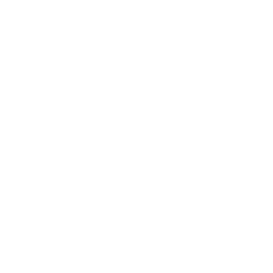 Logo Ayce