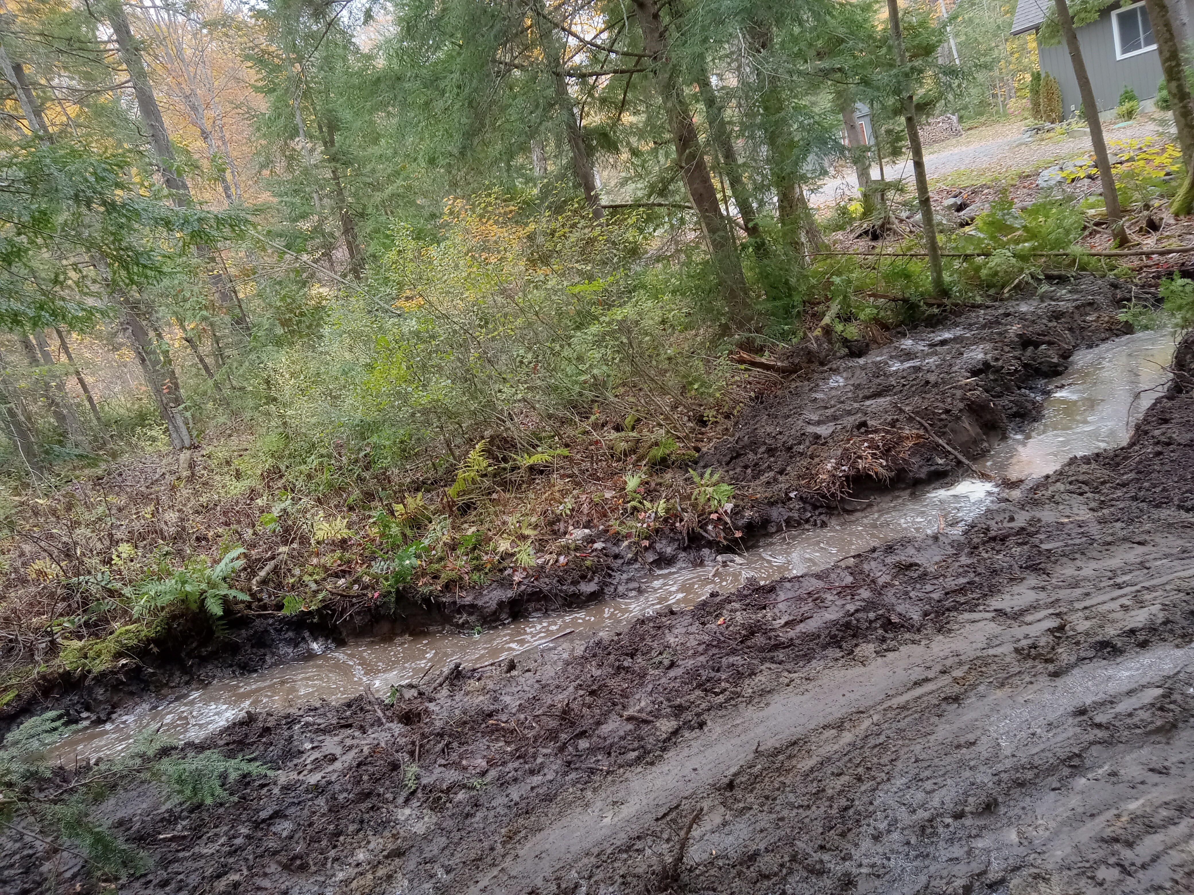 Water flowing through an excavated drainage ditch beside wooded ground.