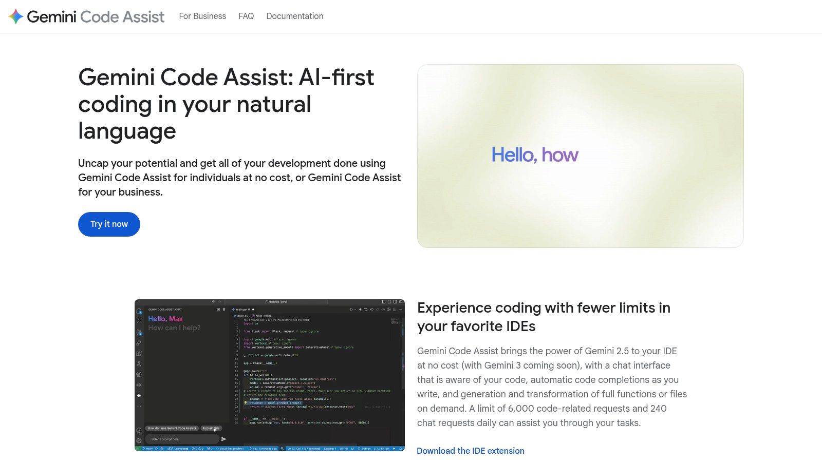 Google Gemini Code Assist