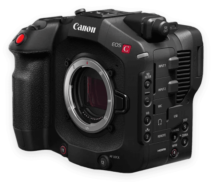 Canon C80