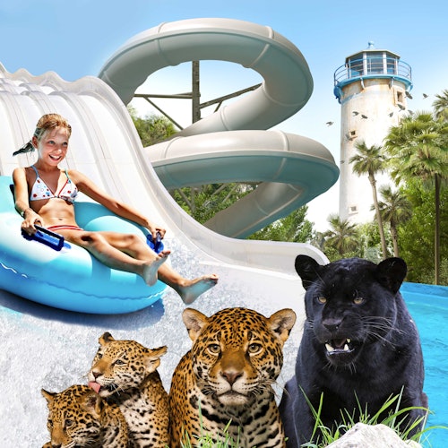 Una niña en un tobogán acuático en un flotador con grandes felinos, incluido un pantera negra y jaguares en primer plano, y un parque acuático como telón de fondo.