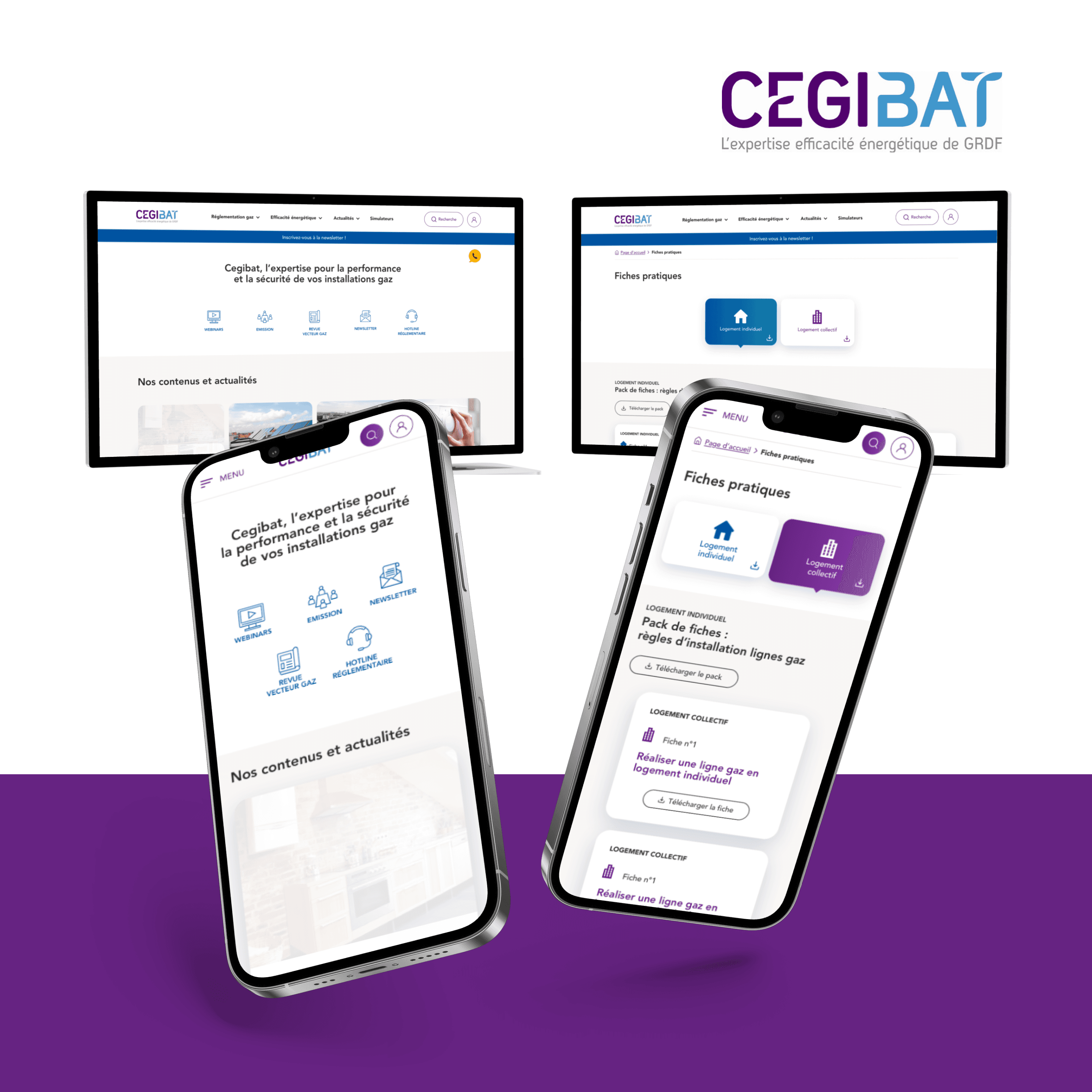 CEGIBAT mockup designs desktop and mobile cover