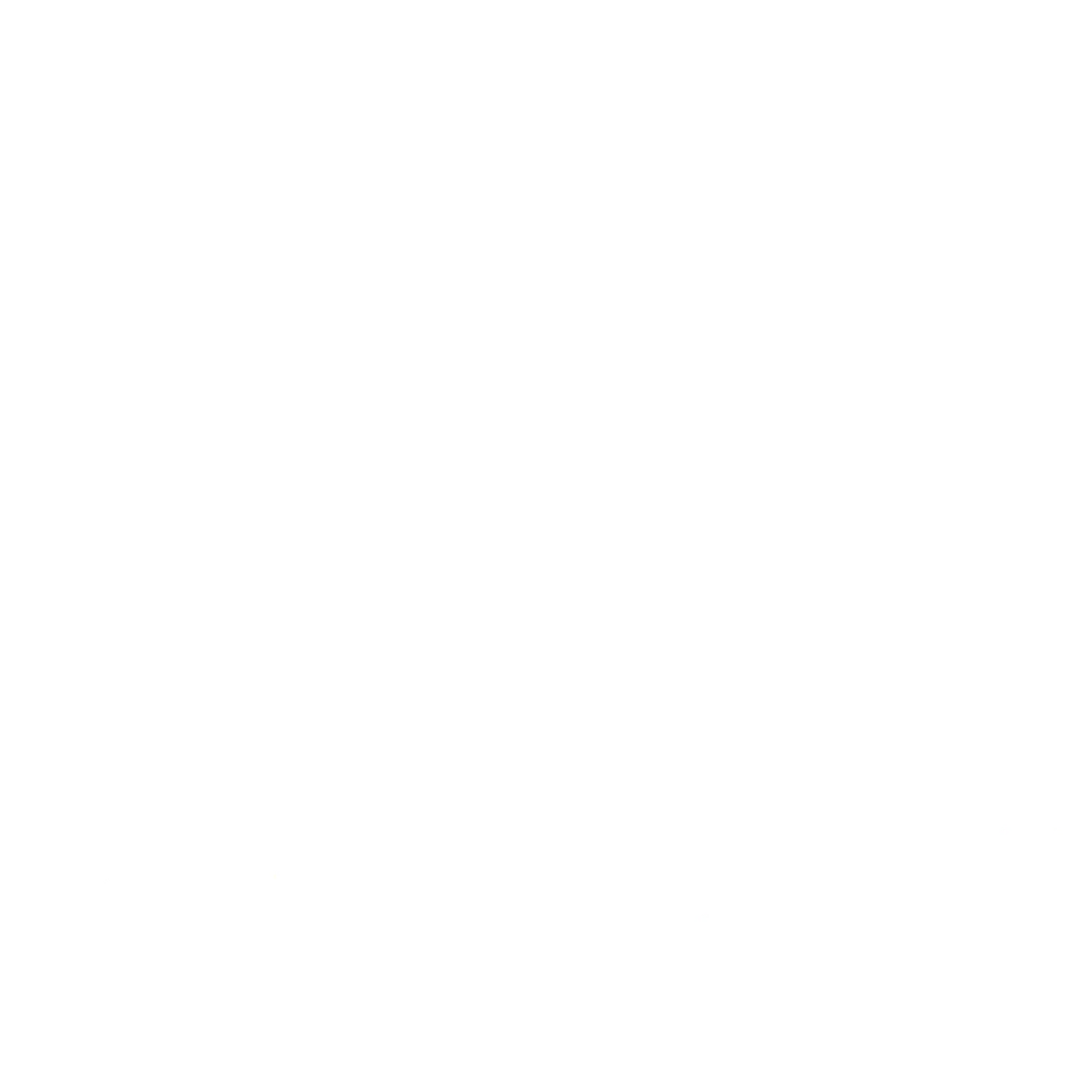 Client Icon