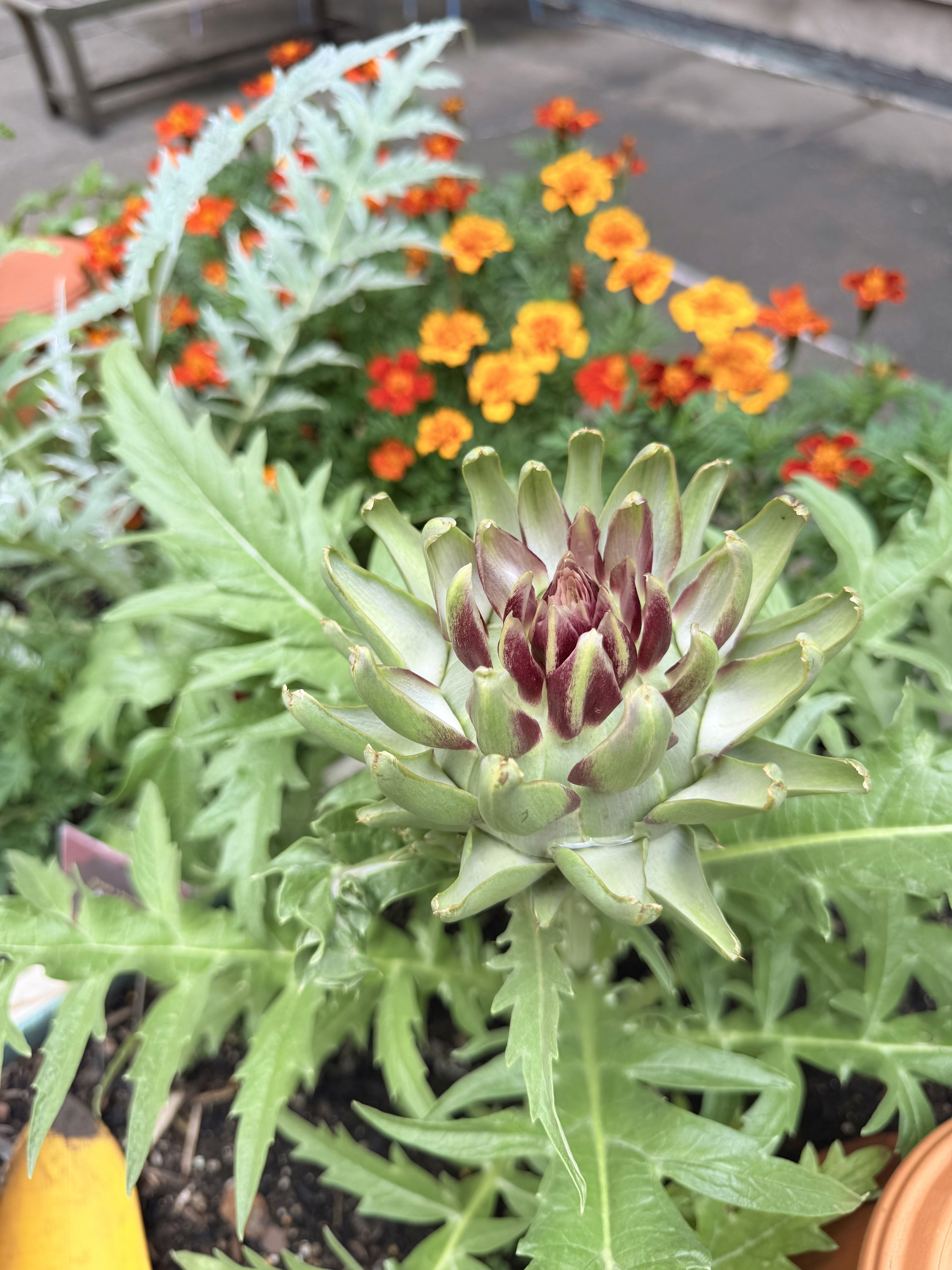 Modern red brick apartment or office building viewed from below against a blue sky, showcasing its geometric architecture with evenly spaced windows and balconies.