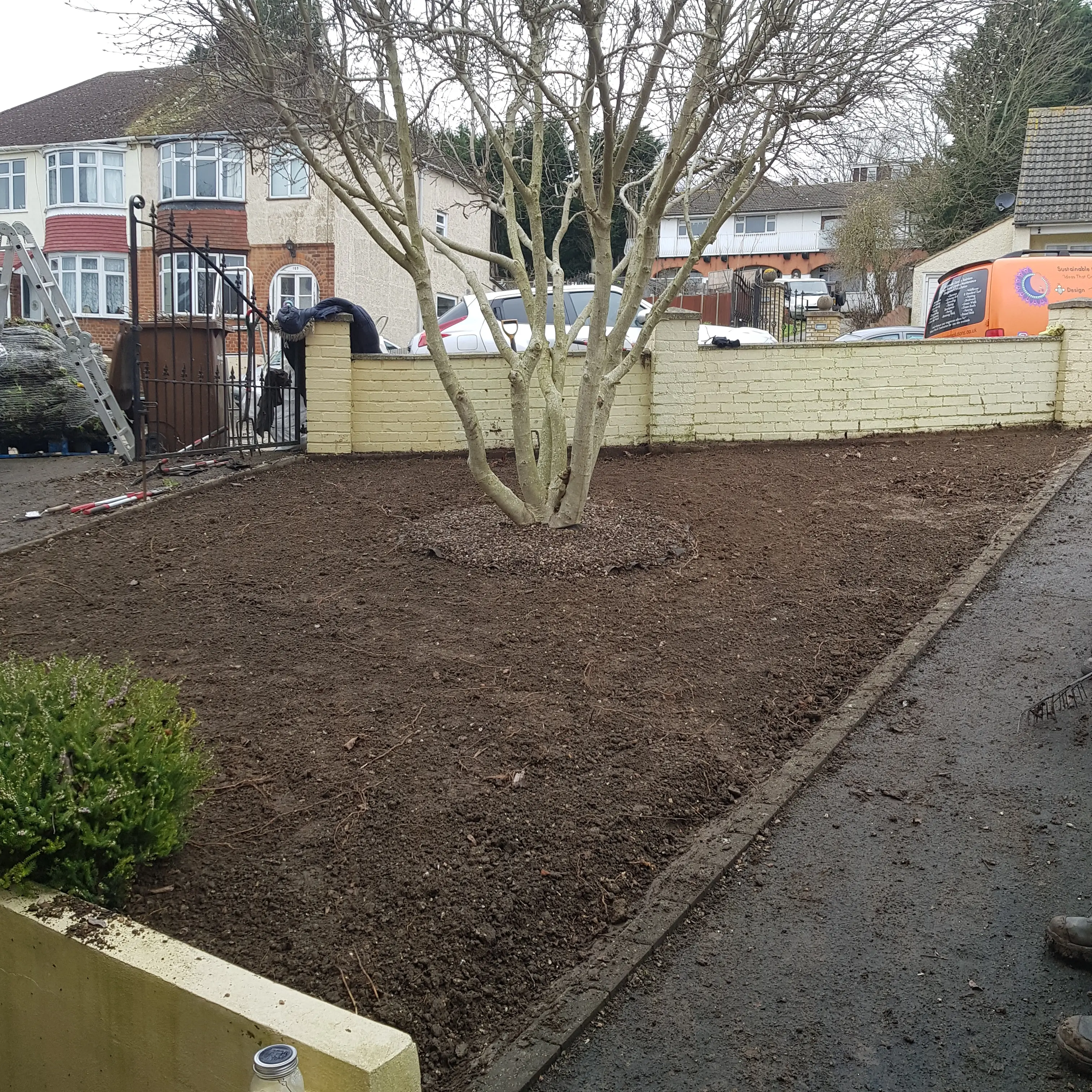 A freshly mulched garden area with a tree in the center, surrounded by a low yellow wall and nearby buildings.